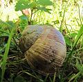 25ste Herfstwandeling van Armand en Judith op 23-10-2011 (46)